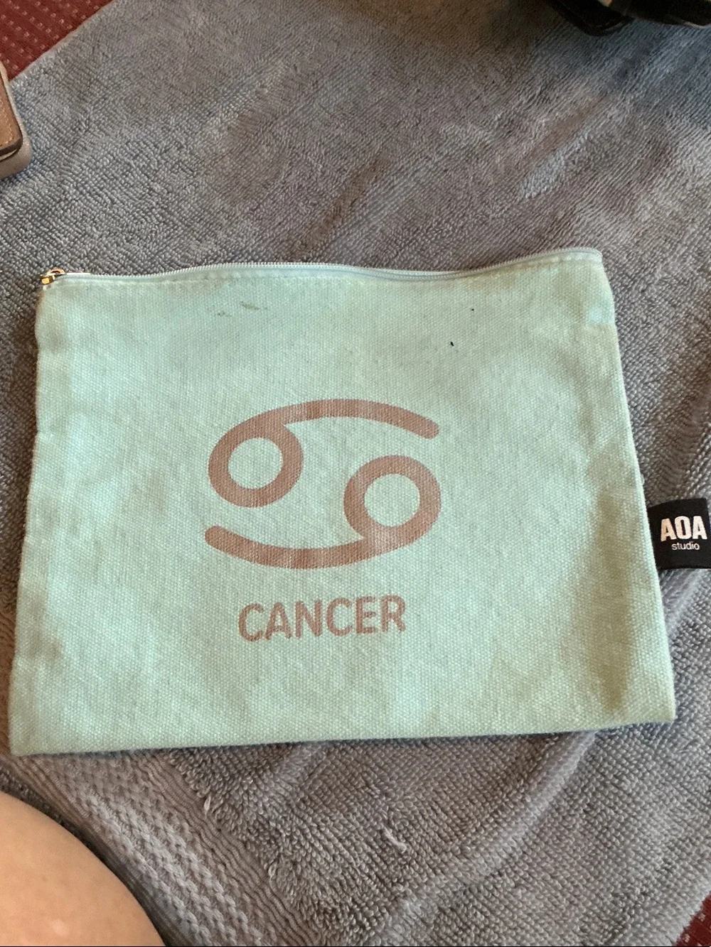 Aa Studio Mint Canvas Zodiac Pouch - Cancer Print
